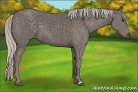 Horse Color:Silver Black 