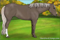 Horse Color:Silver Black 