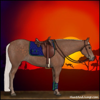 Horse Color:Silver Black 