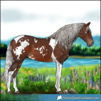 Horse Color:White Spotted Silver Brown Tobiano 