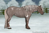 Horse Color:White Spotted Silver Blue Roan 