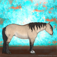 Horse Color:Bay Dun  and Bay Dun 