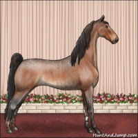 Horse Color:Red Roan  and Bay Roan 