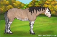 Horse Color:Bay Roan Dun  and Bay Roan Dun Splash 