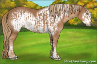 Horse Color:Chestnut  and Chestnut Frame 