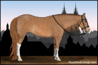 Horse Color:Chestnut  and Chestnut 
