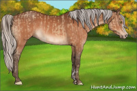 Horse Color:Amber Champagne  and Silver Brown 