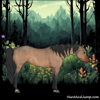 Horse Color:Bay Roan Dun  and Brown Roan Dun 