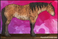 Horse Color:Liver Chestnut  and Bay 