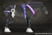 Horse Color:Black and Black