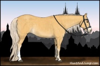 Horse Color:Palomino  and Palomino 