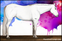 Horse Color:Gray Red Dun 