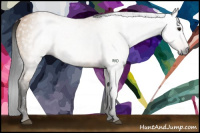 Horse Color:Gray Bay Dun 