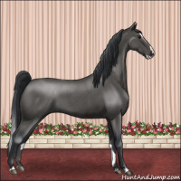 Horse Color:Blue Roan Splash 