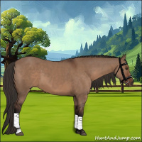 Horse Color:Liver Red Dun  and Liver Red Dun 