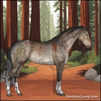 Horse Color:Liver Chestnut Tobiano  and Brown Dun Brindle 