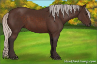 Horse Color:Silver Brown 
