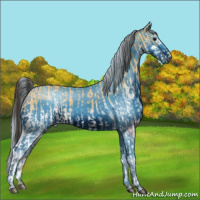 Horse Color:White Spotted Buckskin Sabino and ERROR: UNKNOWN ANOMALY