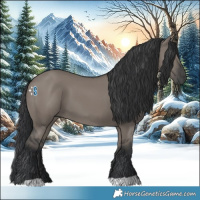 Horse Color:Grullo 