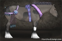 Horse Color:Black  and Grullo 