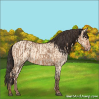 Horse Color:Bay Dun  and Amber Champagne Dun 