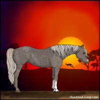 Horse Color:Silver Black 