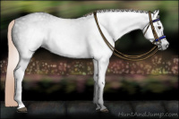 Horse Color:Gray Liver Red Roan 