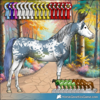 Horse Color:Watercolor White Spotted Chestnut