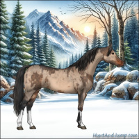 Horse Color:Brown Dun  and Brown Dun 