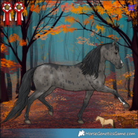 Horse Color:Grullo Sabino Brindle 