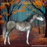 Horse Color:Grullo Sabino Brindle 