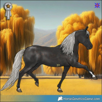 Horse Color:Liver Chestnut Mushroom 