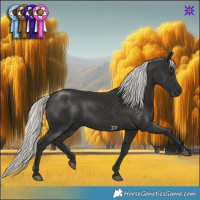 Horse Color:Liver Chestnut Mushroom 