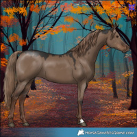 Horse Color:Liver Red Dun 