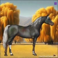 Horse Color:Liver Chestnut Mushroom 