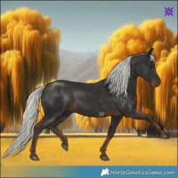 Horse Color:Liver Chestnut Mushroom 