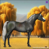 Horse Color:Liver Chestnut Mushroom 