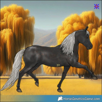 Horse Color:Liver Chestnut Mushroom 
