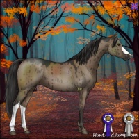 Horse Color:Liver Red Dun Brindle 