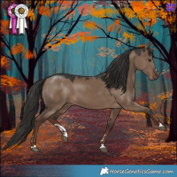 Horse Color:Liver Red Dun 