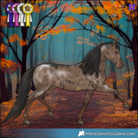 Horse Color:Liver Red Dun Brindle 