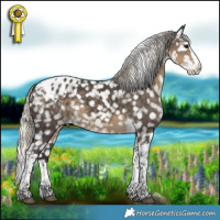 Horse Color:Silver Smoky Black Splash Tobiano Appaloosa