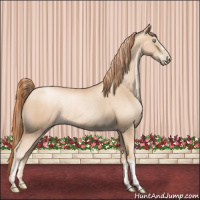 Horse Color:Gold Champagne Pearl Rabicano and Sable Champagne Pearl Rabicano