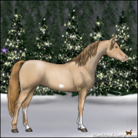 Horse Color:Red Roan Pearl Tobiano Frame 