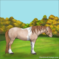 Horse Color:Red Roan Pearl Tobiano Frame 