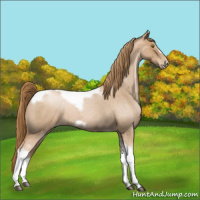 Horse Color:Red Roan Pearl Tobiano Frame 