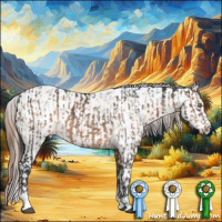 Horse Color:White Spotted Brown Dun Tobiano Brindle  and Bay Roan Dun Near Leopard 