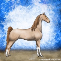 Horse Color:Liver Red Roan Pearl Tobiano Frame 
