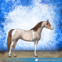 Horse Color:Liver Red Roan Pearl Tobiano Frame 