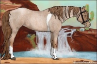 Horse Color:Liver Red Roan Pearl Tobiano 